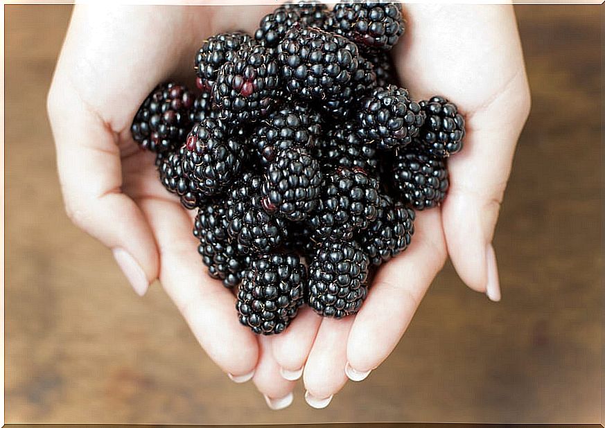 Benefits of blackberry.