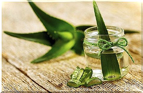 How-to-grow-aloe-vera-indoors, eliminate toxins