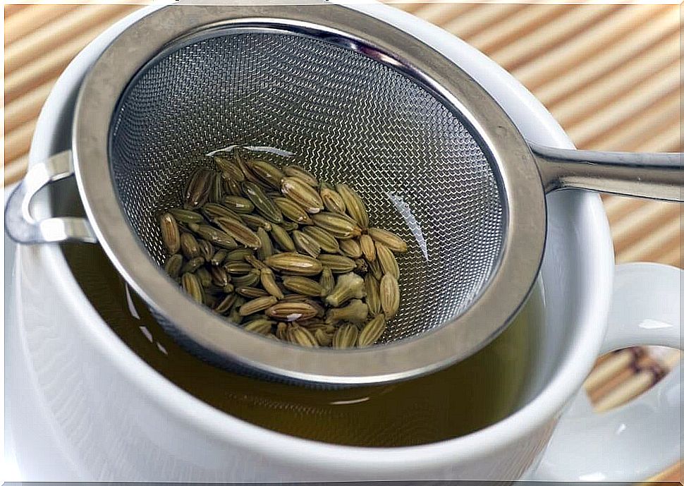 fennel seeds