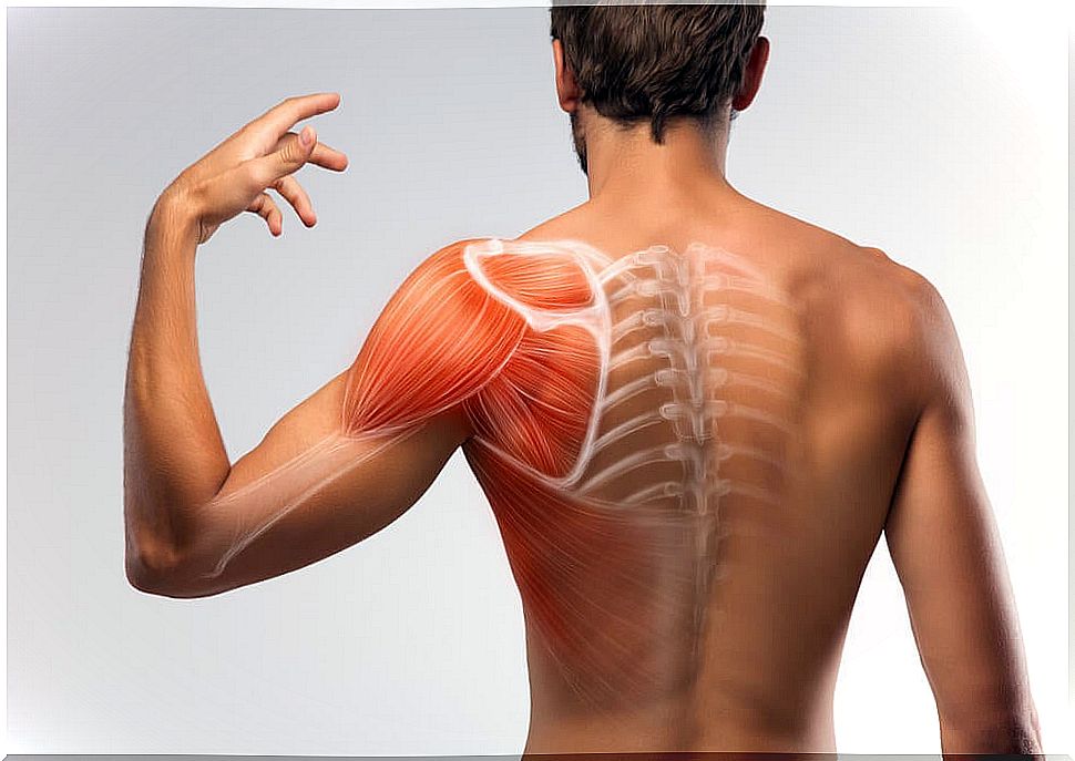 7 homemade solutions to decrease muscle spasms