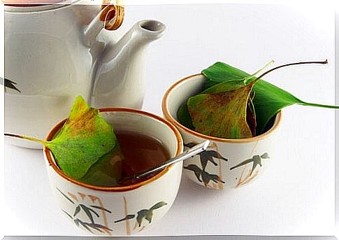 Infusion of gingko biloba to combat the cold in the extremities.