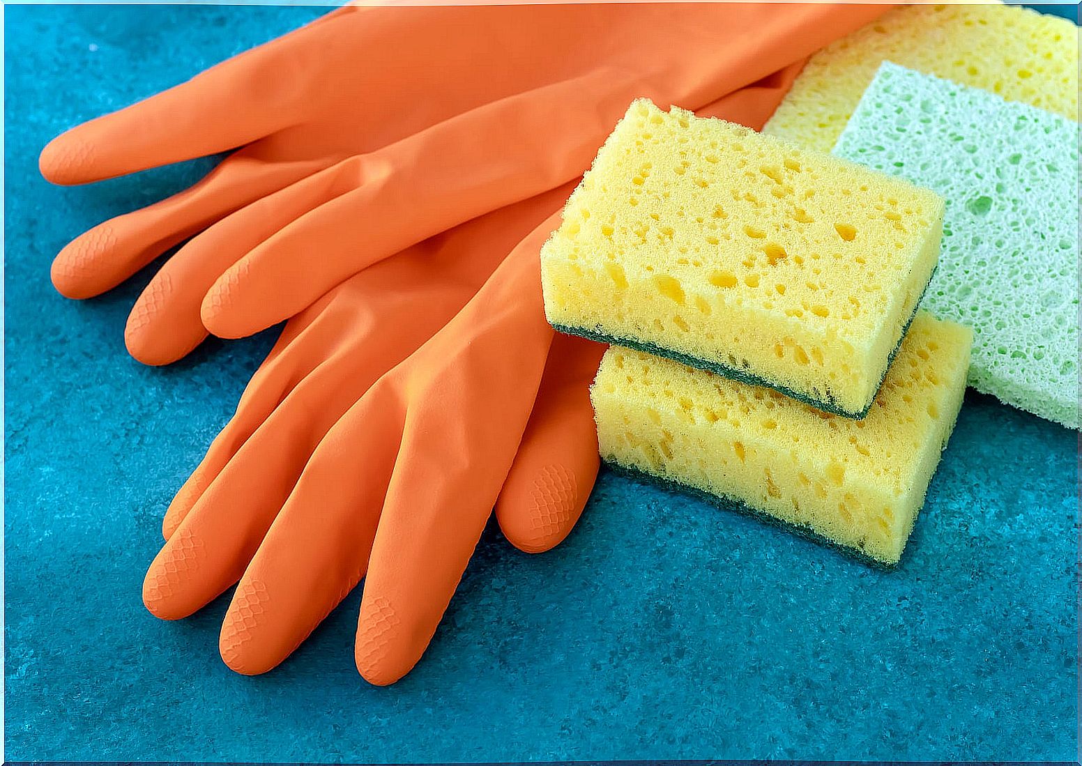 Did you know that dish sponges are one of the biggest sources of bacteria?