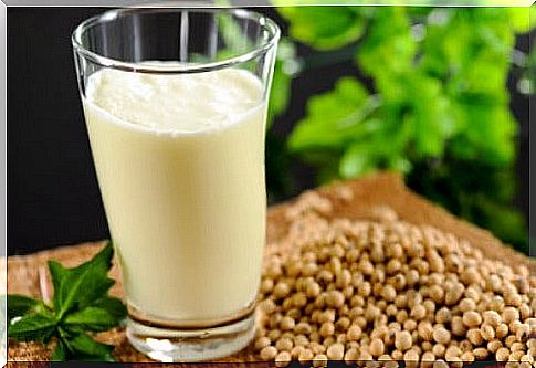 Hemp milk: nutrients, benefits and recipe