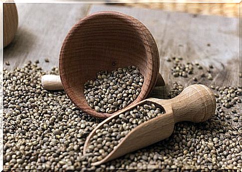 Hemp seeds