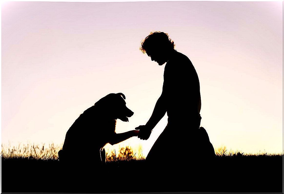 Man representing how to cope with the loss of a pet.