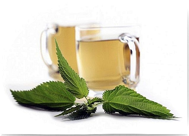 nettle tea against anemia