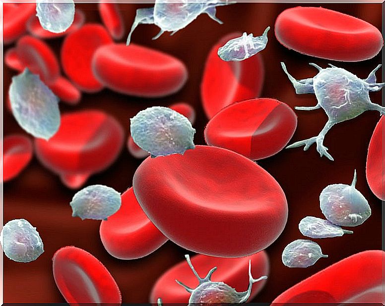 Recreation of red blood cells