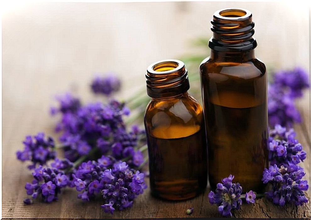 Bottles with lavender oil as repellants against mosquitoes and other insects