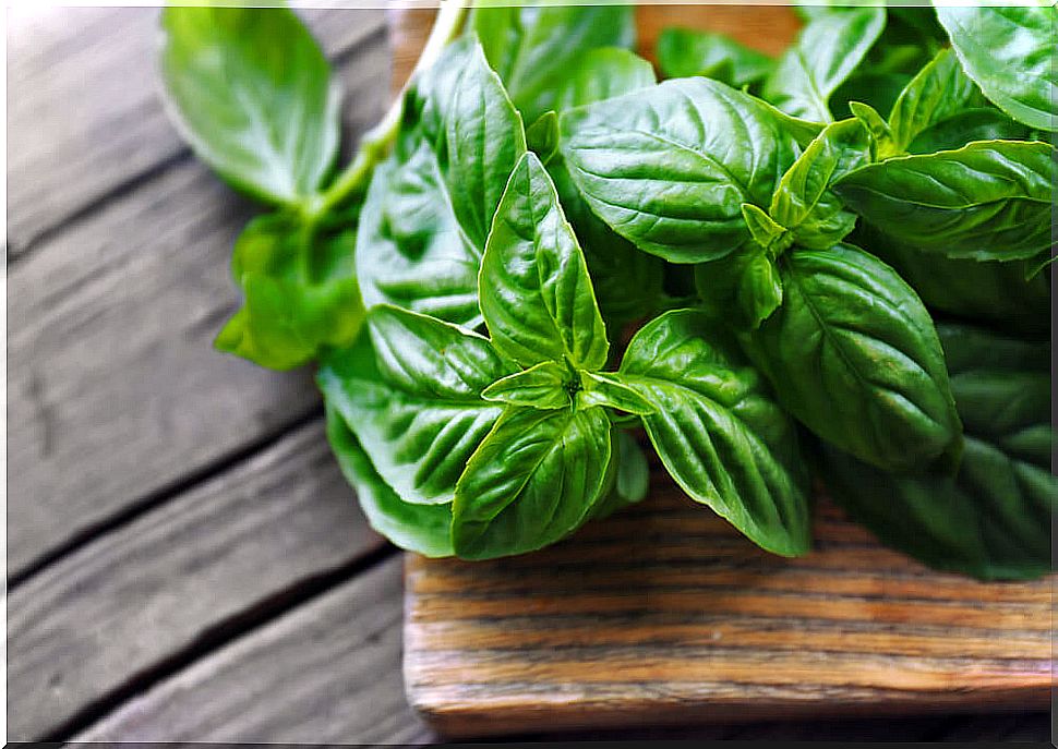 The properties of basil