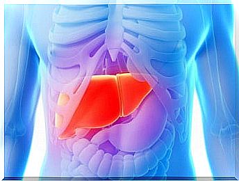 Fatty liver